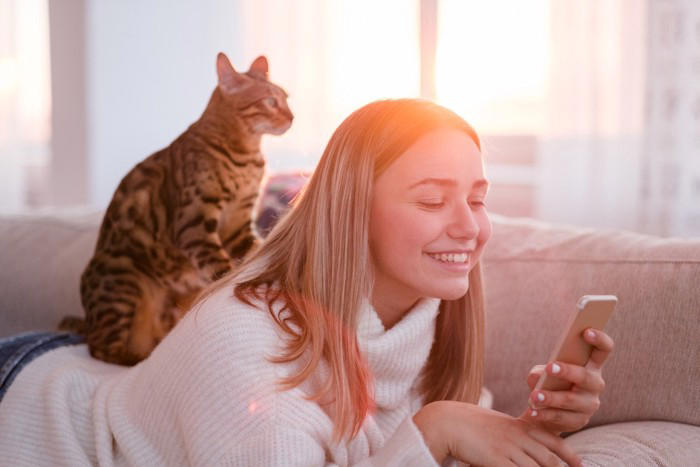猫がおんぶをされたがる理由5選, 1.高い場所から景色を眺めたい, 2.飼い主さんを独占して甘えたい, 3.安心できる安全な場所にいたい, 4.構ってほしいというサイン, 5.自分のにおいをつけて安心したい, おんぶを要求する猫への上手な応え方, まずは気持ちを受け止める, 困ったときは別の方法で満たす, 怪我を防ぐための事前準備