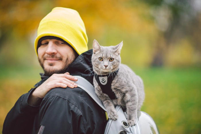 猫がおんぶをされたがる理由5選, 1.高い場所から景色を眺めたい, 2.飼い主さんを独占して甘えたい, 3.安心できる安全な場所にいたい, 4.構ってほしいというサイン, 5.自分のにおいをつけて安心したい, おんぶを要求する猫への上手な応え方, まずは気持ちを受け止める, 困ったときは別の方法で満たす, 怪我を防ぐための事前準備