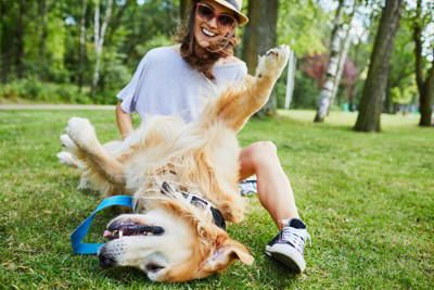 犬が体をスリスリしてくる理由5つ, 1.ニオイをつける, 2.ニオイを上書きする, 犬が体をスリスリしてくるシチュエーション別の心理, 帰宅した飼い主さんの足にスリスリ, シャンプー後にスリスリ, じっとしていると近寄ってきてスリスリ, 上目遣いで飼い主さんを見つめながらスリスリ
