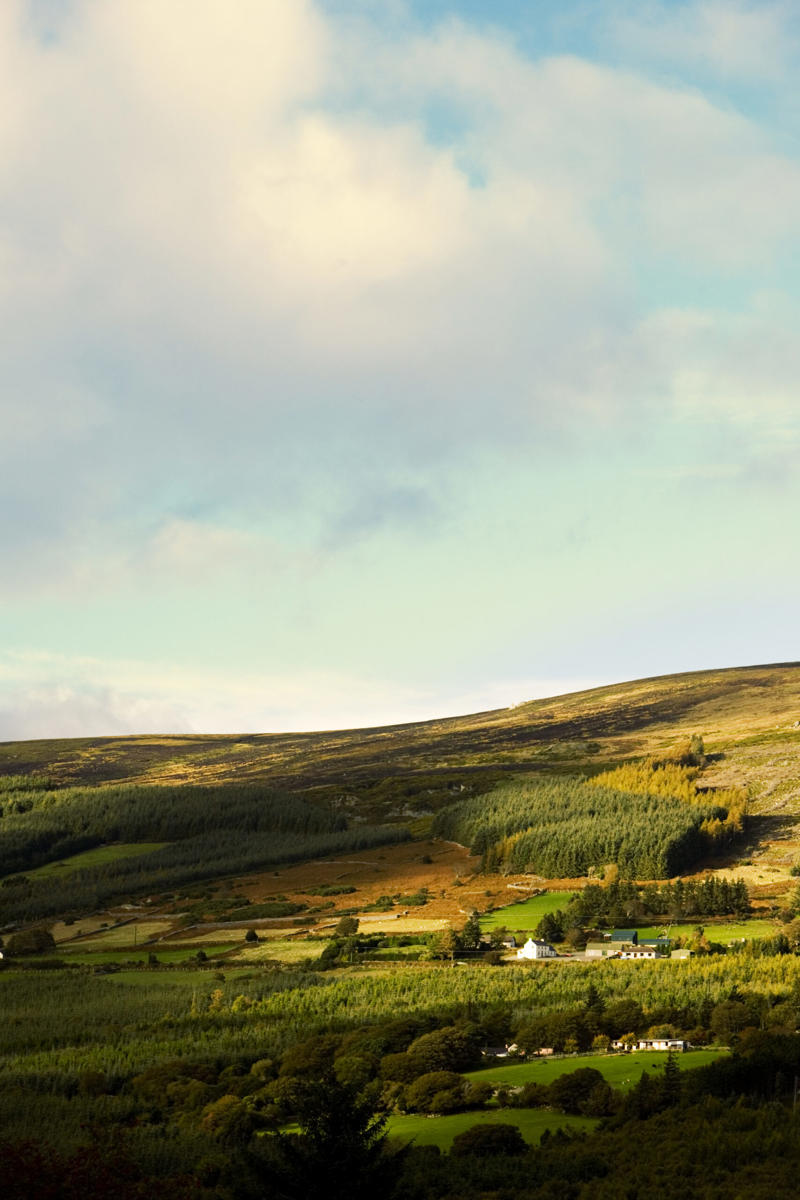 A landscape written in water, Stories in the soil, The Ireland that fewer see, The Wild Atlantic Way, Gastronomic marvels , Wine country, Whiskey and wallabies, Getting around