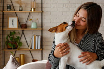 犬が体をスリスリしてくる理由5つ, 1.ニオイをつける, 2.ニオイを上書きする, 犬が体をスリスリしてくるシチュエーション別の心理, 帰宅した飼い主さんの足にスリスリ, シャンプー後にスリスリ, じっとしていると近寄ってきてスリスリ, 上目遣いで飼い主さんを見つめながらスリスリ