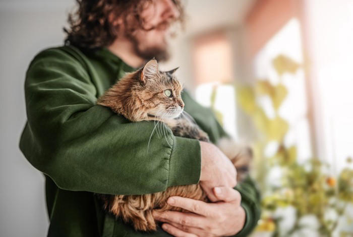 1匹飼いと多頭飼いどちらが幸せ？, 1匹飼いは「のんびり静かに過ごせる」, 良い点：ストレスがなく安心, 悪い点：退屈や寂しさも, 多頭飼いは「猫同士の交流が楽しい」, 良い点：寂しくない、運動になる, 悪い点：お金と手間の負担が増える, 飼う前に検討すべきこと