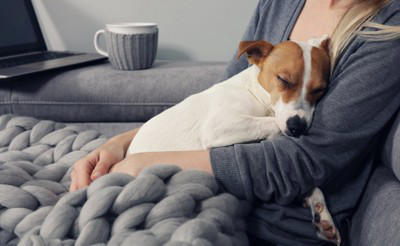 犬を「人間扱い」しすぎる主なリスク5つ, 1.健康リスクが増える, 2.問題行動が増えやすくなる, 3.分離不安や依存が強くなる, 4.社会性が育ちにくくなる, 5.安全面の問題が起きやすくなる, 愛情はそのままに“犬らしく”接するコツ, 食事は基本的に犬用を中心にする, ルールは家族で統一して一貫させる, 抱っこや構いすぎは控え、休む時間を守る, 留守番やひとり時間を少しずつ練習する, 散歩や遊びで心と体を満たす