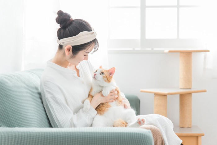1匹飼いと多頭飼いどちらが幸せ？, 1匹飼いは「のんびり静かに過ごせる」, 良い点：ストレスがなく安心, 悪い点：退屈や寂しさも, 多頭飼いは「猫同士の交流が楽しい」, 良い点：寂しくない、運動になる, 悪い点：お金と手間の負担が増える, 飼う前に検討すべきこと