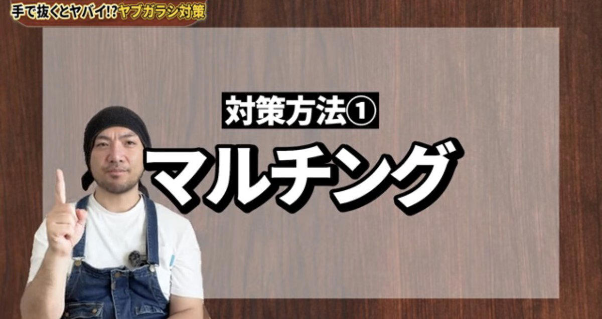ヤブガラシは“抜けばいい”雑草ではない , ヤブガラシってどんな雑草？, ヤブガラシを手で抜くとどうなる？, ヤブガラシ対策は「拡がる前」が大切, 対策① マルチング, 対策②ヘアリーベッチ, 番外編：ツルを巻いて弱らせる方法も, ヤブガラシ対策チェックリスト, 【まとめ】“抜く”より“広げない”対策を