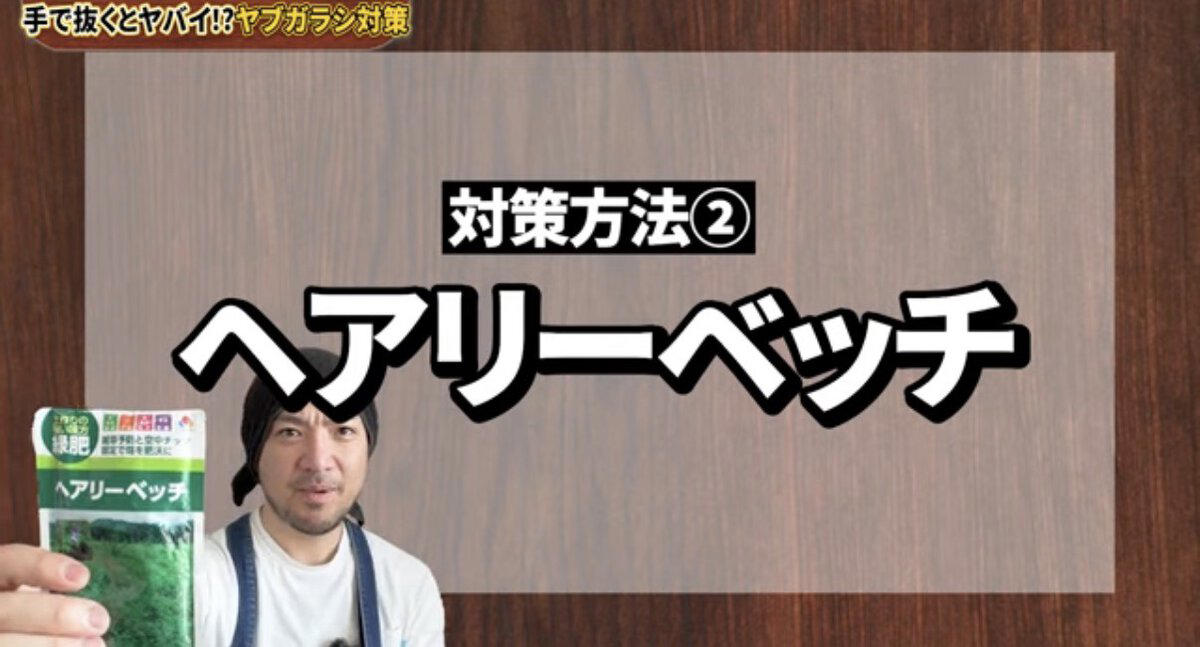 ヤブガラシは“抜けばいい”雑草ではない , ヤブガラシってどんな雑草？, ヤブガラシを手で抜くとどうなる？, ヤブガラシ対策は「拡がる前」が大切, 対策① マルチング, 対策②ヘアリーベッチ, 番外編：ツルを巻いて弱らせる方法も, ヤブガラシ対策チェックリスト, 【まとめ】“抜く”より“広げない”対策を