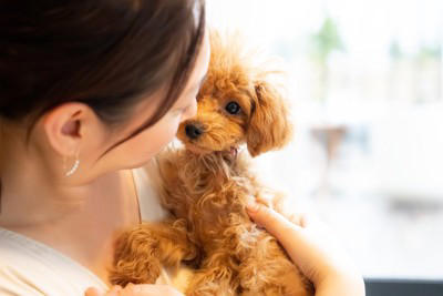 犬を「あだ名」で呼んではいけない3つの理由, 1.名前を自分のことだと認識できなくなる, 2.いざという時の反応が遅れる, 3.しつけの効率が下がってしまう, あだ名で呼ぶことの具体的なデメリット, 犬が覚えやすい「名付け」のコツ, すでにあだ名で呼んでいる場合の対処法