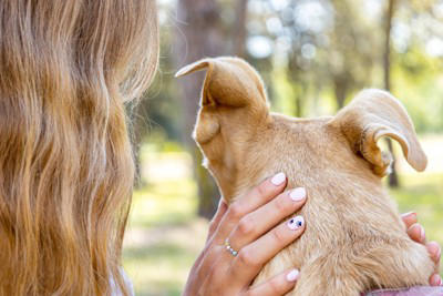 犬が『背中を向けて座る』心理５選, 1.最大の信頼を寄せている, 2.安心してリラックスしている, 4.「おしりを撫でて」と言っている, 5.飼い主を守ろうとしている, 犬が背中を向けてきたときの飼い主の対応