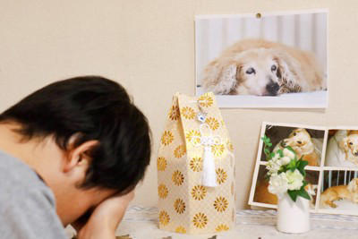 ペットロスの人を傷つけるNGワード, かわいそうだったね, 次の子を飼わないの？, 動物だから仕方ないよ, もっと悲しい人はたくさんいるよ, 早く立ち直らないとダメだよ, 愛犬を亡くした人にすべき配慮, 同じ経験があれば共感を分かち合う