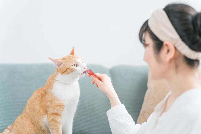 猫が「食べ過ぎた」ときに現れる5つのサイン, 2.お腹がパンパンに張っている, 3.元気がなく、じっとしている, 4.下痢や軟便をする, 5.苦しそうに呼吸をしている, 「たかが食べすぎ」と放置するのが危険な理由, 食べすぎてしまった時の応急処置, 食べすぎを防ぐ3つの予防策