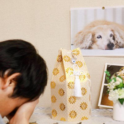 ペットロスの人を傷つけるNGワード, かわいそうだったね, 次の子を飼わないの？, 動物だから仕方ないよ, もっと悲しい人はたくさんいるよ, 早く立ち直らないとダメだよ, 愛犬を亡くした人にすべき配慮, 同じ経験があれば共感を分かち合う