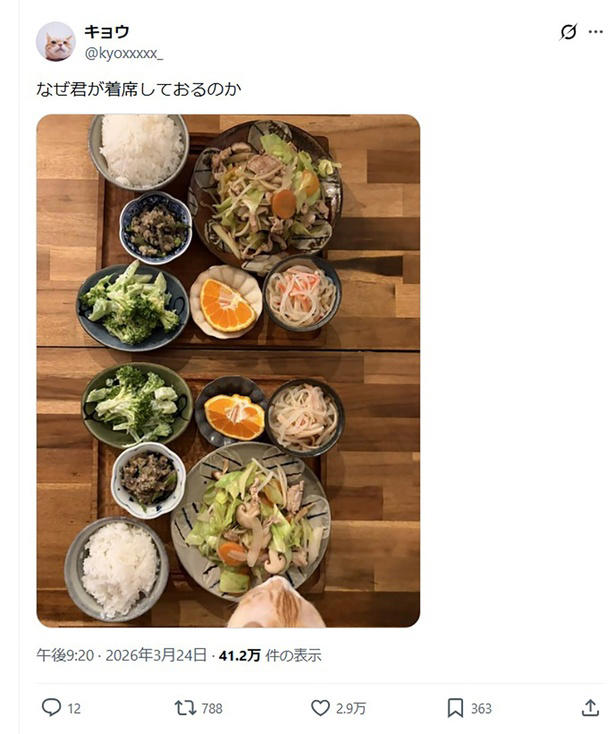 話題になったポストへの感想は？, 4匹の猫達と暮らすキョウさん, 食事のチェックは欠かさない！好奇心旺盛なオコジョくん, 仲が良くて賑やか！4匹の性格や関係性, これからもずっと仲良く…！先日誕生日を迎えた元末っ子猫くん