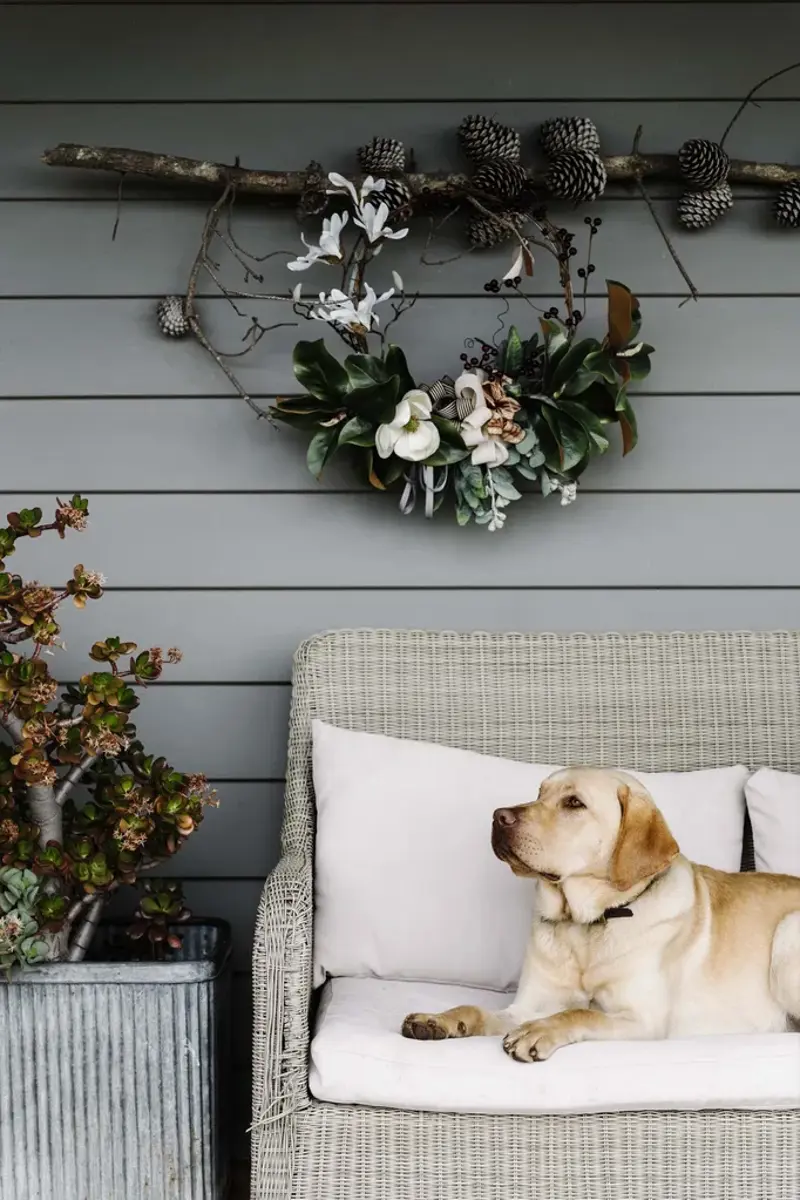 Most amenities: Cape to Cape route, Safest: Legendary Pacific Coast drive, Best climate: Great Beach Drive, Best sights: Grand Pacific Drive, Best dog-friendly road trip in Australia