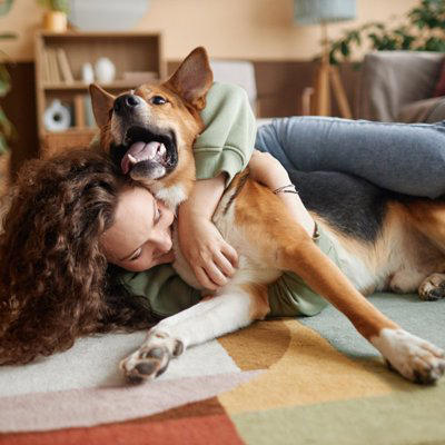 犬が嫌がる『スキンシップ』５選, 1.体の先端を無遠慮に触る, 2.頭上から触る, 3.見えない場所から突然触れる, 4.強い力で抱き締める, 5.気分でないときにしつこく触れる, 犬が喜ぶスキンシップは？正しい接し方を解説
