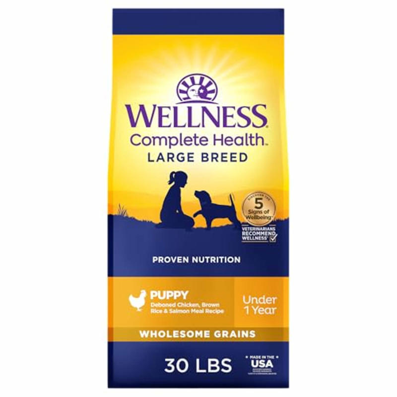 Best dry dog food of 2026, How I picked the best dry dog food, How to shop for the best dry dog food, Frequently asked questions, Meet our veterinary experts, Why trust NBC Select?