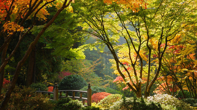 Shizen: authentic naturalness Koko: the austere beauty of maturity, Kanso: simplicity, Shizen: authentic naturalness, Fukinsei: asymmetry, Yugen: subtle hints at mystery, Datsuzoku: the magic of surprise, Seijaku: quietude and solitude, Types of Japanese gardens: the courtyard garden, Types of Japanese gardens: the tea garden, Elements of the garden: stone, Elements of the garden: water, Elements of the garden: plants, Garden tips: limit your palette, Garden tips: the path is the destination, Garden tips: the mystery is the message, Garden tips: model only the best of the natural world, Garden tips: use overlapping shapes and elements, Garden tips: mimic the landscape, Garden tips: use native plants natively