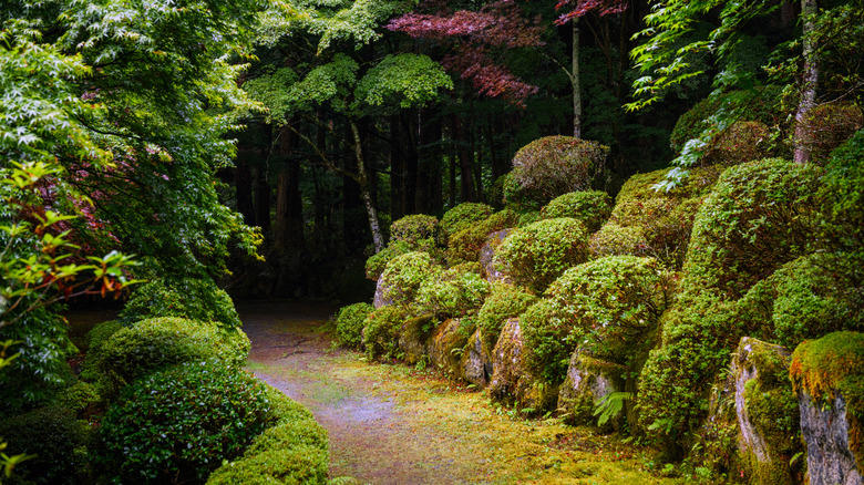 Yugen: subtle hints at mystery Koko: the austere beauty of maturity, Kanso: simplicity, Shizen: authentic naturalness, Fukinsei: asymmetry, Yugen: subtle hints at mystery, Datsuzoku: the magic of surprise, Seijaku: quietude and solitude, Types of Japanese gardens: the courtyard garden, Types of Japanese gardens: the tea garden, Elements of the garden: stone, Elements of the garden: water, Elements of the garden: plants, Garden tips: limit your palette, Garden tips: the path is the destination, Garden tips: the mystery is the message, Garden tips: model only the best of the natural world, Garden tips: use overlapping shapes and elements, Garden tips: mimic the landscape, Garden tips: use native plants natively