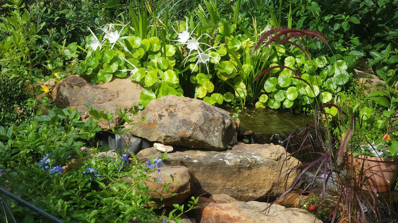 Garden tips: the mystery is the message Koko: the austere beauty of maturity, Kanso: simplicity, Shizen: authentic naturalness, Fukinsei: asymmetry, Yugen: subtle hints at mystery, Datsuzoku: the magic of surprise, Seijaku: quietude and solitude, Types of Japanese gardens: the courtyard garden, Types of Japanese gardens: the tea garden, Elements of the garden: stone, Elements of the garden: water, Elements of the garden: plants, Garden tips: limit your palette, Garden tips: the path is the destination, Garden tips: the mystery is the message, Garden tips: model only the best of the natural world, Garden tips: use overlapping shapes and elements, Garden tips: mimic the landscape, Garden tips: use native plants natively