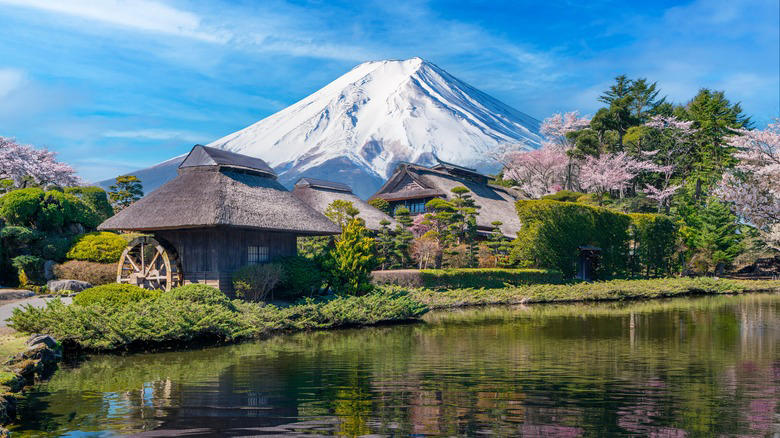 Garden tips: mimic the landscape Koko: the austere beauty of maturity, Kanso: simplicity, Shizen: authentic naturalness, Fukinsei: asymmetry, Yugen: subtle hints at mystery, Datsuzoku: the magic of surprise, Seijaku: quietude and solitude, Types of Japanese gardens: the courtyard garden, Types of Japanese gardens: the tea garden, Elements of the garden: stone, Elements of the garden: water, Elements of the garden: plants, Garden tips: limit your palette, Garden tips: the path is the destination, Garden tips: the mystery is the message, Garden tips: model only the best of the natural world, Garden tips: use overlapping shapes and elements, Garden tips: mimic the landscape, Garden tips: use native plants natively