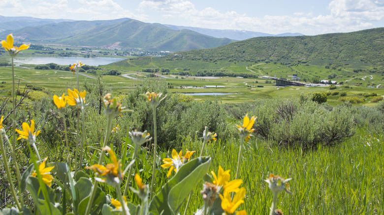 Gunnison, Colorado, Silverton, Colorado, Page, Arizona, Livingston, Montana, Kalispell, Montana, Heber City, Utah, Silver City, New Mexico, Virginia City, Nevada, Wallace, Idaho, Sheridan, Wyoming