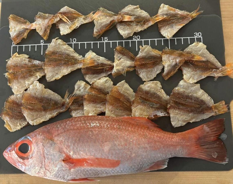 大きくなる前の魚を獲ってしまう「成長乱獲」, ノドグロの本当の大きさは？, 小さなアジも容赦なく漁獲, 漁獲枠なしで根こそぎ獲ってしまった影響, なぜこのようなことが起きてしまうのか？, 必要なのは自画自賛ではない