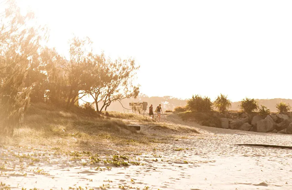Most amenities: Cape to Cape route, Safest: Legendary Pacific Coast drive, Best climate: Great Beach Drive, Best sights: Grand Pacific Drive, Best dog-friendly road trip in Australia