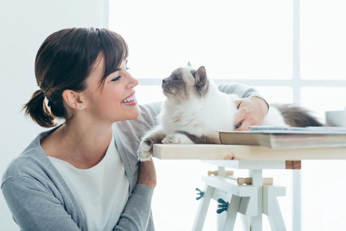 猫にとって覚えやすい人間の言葉5選, 1.ごはん・おやつ, 3.いい子・かわいい, 4.ダメ・いけない, 5.病院とそれに関連する言葉, 猫に言葉の意味は通じる？, 猫が言葉を記憶する理由は？
