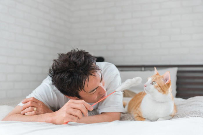 猫にとって覚えやすい人間の言葉5選, 1.ごはん・おやつ, 3.いい子・かわいい, 4.ダメ・いけない, 5.病院とそれに関連する言葉, 猫に言葉の意味は通じる？, 猫が言葉を記憶する理由は？