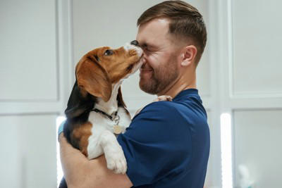 犬が「飼い主を舐める」心理5選, 1.「遊んで！」「お腹空いた」という要求, 2.「大好き！」を伝える愛情表現, 3.飼い主の情報を集めている, 4.自分や飼い主を落ち着かせようとしている, 5.塩分や食べ物の匂いに反応している, しつこく舐めてくる時の適切な対応, 一度その場を離れて「無視」をする, 「お座り」などの指示を出して気をそらす, おもちゃやガムを活用する, 日頃の運動量やコミュニケーションを見直す, 注意が必要な「舐める」サイン