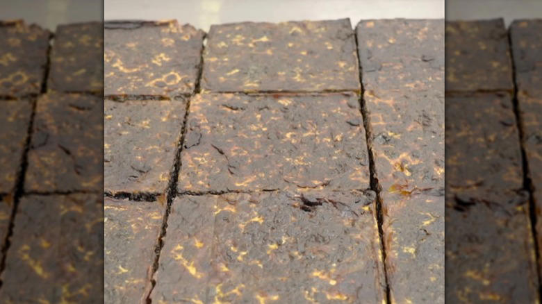 Cobblestone, Permeable pavers, Exposed aggregate concrete, Mycelium, Seashells, Composite pavers, Natural stone