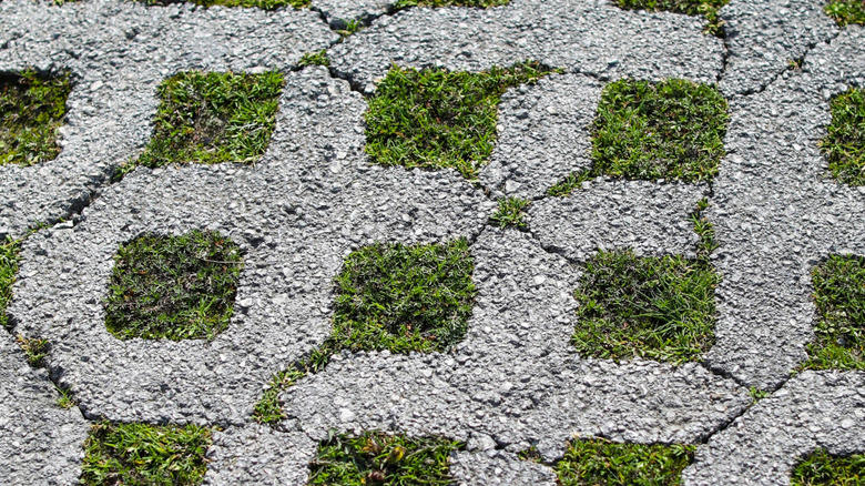 Cobblestone, Permeable pavers, Exposed aggregate concrete, Mycelium, Seashells, Composite pavers, Natural stone