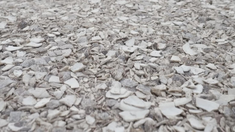 Cobblestone, Permeable pavers, Exposed aggregate concrete, Mycelium, Seashells, Composite pavers, Natural stone