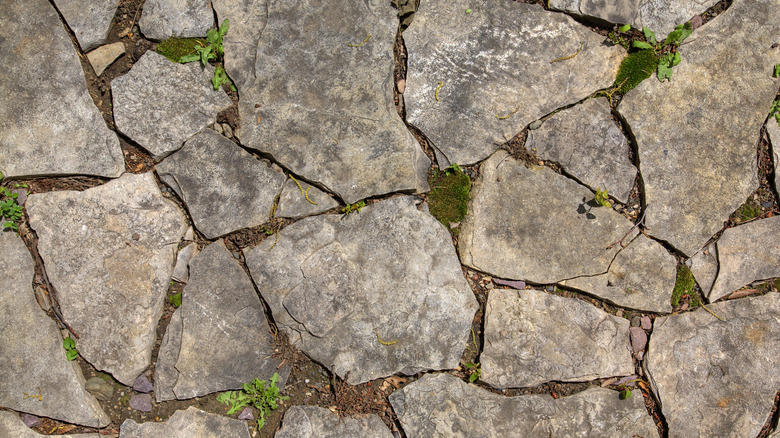 Cobblestone, Permeable pavers, Exposed aggregate concrete, Mycelium, Seashells, Composite pavers, Natural stone