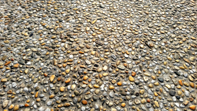 Cobblestone, Permeable pavers, Exposed aggregate concrete, Mycelium, Seashells, Composite pavers, Natural stone