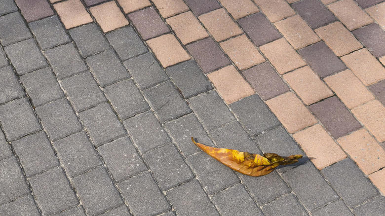 Cobblestone, Permeable pavers, Exposed aggregate concrete, Mycelium, Seashells, Composite pavers, Natural stone