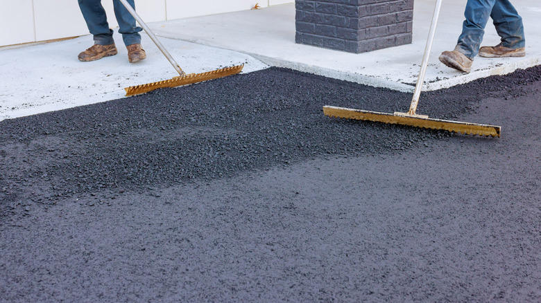 Cobblestone, Permeable pavers, Exposed aggregate concrete, Mycelium, Seashells, Composite pavers, Natural stone