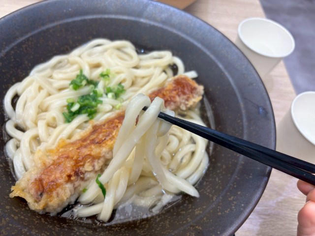 ・まさかリサーチ不足でトンボ返り, ・気を取り直して再訪, ・まずは、うどんをいただきます, ・「ぅシリーズ」全種類いただきます, ・おもしろいけど頼みすぎ注意, ・今回訪れた店舗の詳細