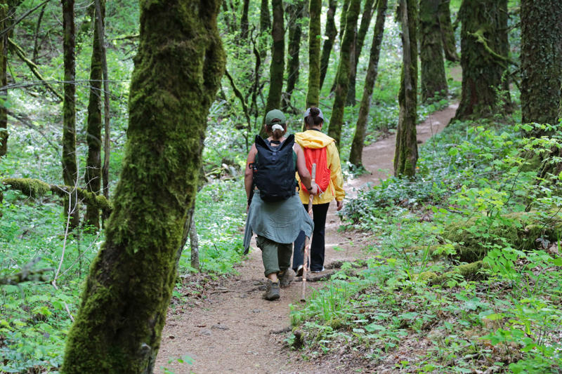 Wildflowers everywhere, A truly tough hike, Don’t take Dog Mountain lightly, A note about actual dogs
