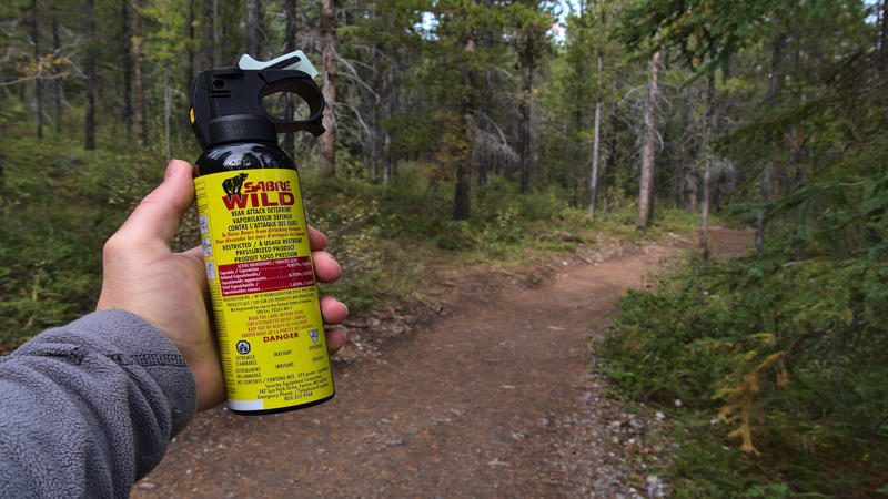 1. Bear Spray, 2. Weapons, 3. Outside Firewood, 4. Drones, 5. Hammocks, 6. Marijuana, 7. E-Bikes on Singletrack, 8. Dogs in the Backcountry, 9. Geocaches, 10. Balloons