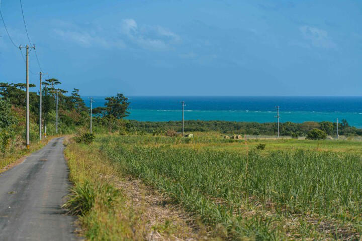 9位 奄美大島、徳之島、沖縄島北部及び西表島, 8位 琉球王国のグスク及び関連遺産群, 6位 古都奈良の文化財, 4位 紀伊山地の霊場と参詣道, 3位 白川郷・五箇山の合掌造り集落, 2位 古都京都の文化財, 1位 富士山－信仰の対象と芸術の源泉