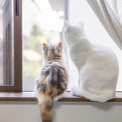 猫が『孤独を感じているとき』に見せるサイン5つ, 1.過剰に鳴くようになる, 2.甘え方が急に増える, 3.いたずらや問題行動が増える, 4.元気がなくなる・動かなくなる, 5.過剰なグルーミングをする, 猫が孤独を感じやすくなる主な原因, 孤独を和らげるためにできる工夫