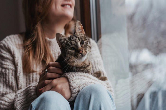 猫が『孤独を感じているとき』に見せるサイン5つ, 1.過剰に鳴くようになる, 2.甘え方が急に増える, 3.いたずらや問題行動が増える, 4.元気がなくなる・動かなくなる, 5.過剰なグルーミングをする, 猫が孤独を感じやすくなる主な原因, 孤独を和らげるためにできる工夫
