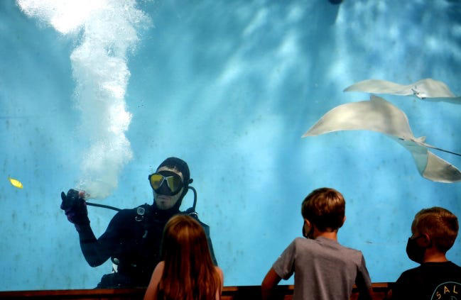 Medicine Park Aquarium and Natural Sciences Center, Oklahoma Aquarium, Blue Zoo Aquarium, OKC Zoo developing plans for new Oklahoma City aquarium