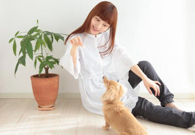 犬が『人に話しかけている』サイン５選, 1.目の前でじっと見つめる, 2.前足でちょんちょんと触れる, 3.鼻をツンと体に当ててくる, 4.何度も同じ行動を繰り返す, 5.「くーん」「ふんふん」と高めの声を出す, 犬と信頼関係を深める方法