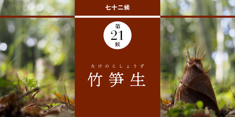 立夏 りっか｜二十四節気, 端午 たんご｜節句, 蛙始鳴 かえるはじめてなく｜第19候, 蚯蚓出 みみずいずる｜第20候, 竹笋生 たけのこしょうず｜第21候, 和暦コラム｜蚯蚓（みみず）