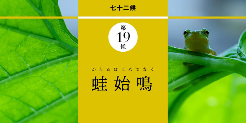 立夏 りっか｜二十四節気, 端午 たんご｜節句, 蛙始鳴 かえるはじめてなく｜第19候, 蚯蚓出 みみずいずる｜第20候, 竹笋生 たけのこしょうず｜第21候, 和暦コラム｜蚯蚓（みみず）