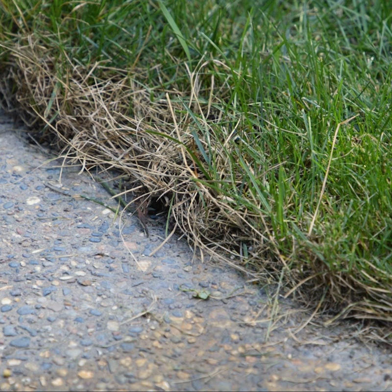 Power Wash the Slab, Load Up Pump Sprayer, dampening concrete, scrubbing concrete with stiff brush, soaking grass
