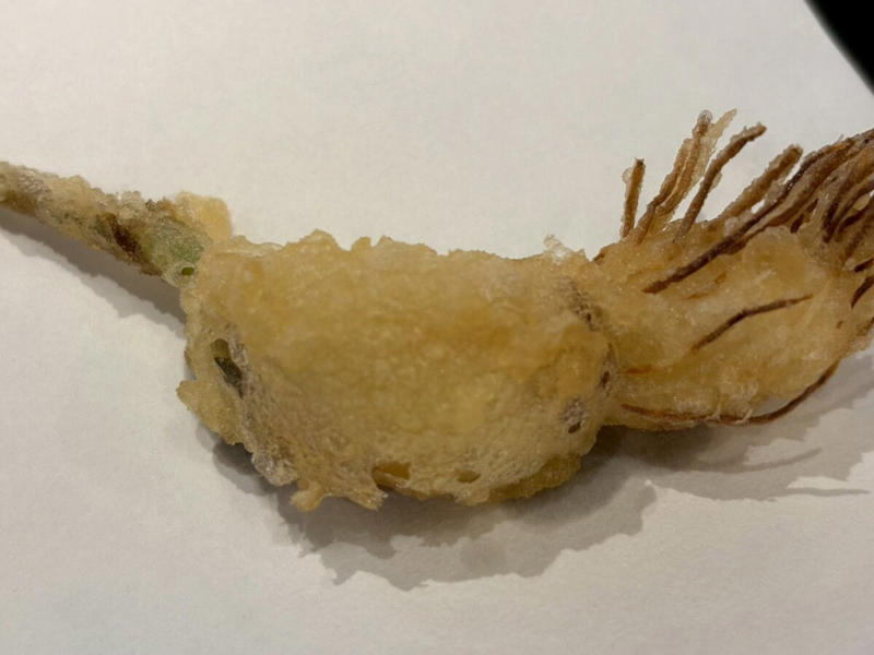 【1】磯の香り×魚介の旨みが大爆発！初夏の贅沢「海かぜ天丼」, 富山県産「ほたるいか」×三重県産「あおさ海苔」の絶品かき揚げ, 鳥取県境港産「鯵」や国産野菜が彩りと食感をプラス！, 【2】ガツンと沁みる甘辛だれ！「たれづけあじわい天丼」, 見逃し厳禁！匂いが残りにくい新感覚の単品天ぷら「レディガーリック」