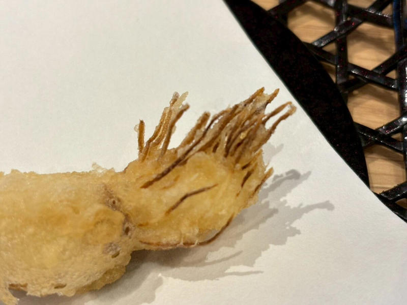 【1】磯の香り×魚介の旨みが大爆発！初夏の贅沢「海かぜ天丼」, 富山県産「ほたるいか」×三重県産「あおさ海苔」の絶品かき揚げ, 鳥取県境港産「鯵」や国産野菜が彩りと食感をプラス！, 【2】ガツンと沁みる甘辛だれ！「たれづけあじわい天丼」, 見逃し厳禁！匂いが残りにくい新感覚の単品天ぷら「レディガーリック」