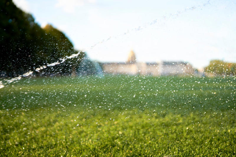 Remove Food Sources, Build a Fence, Use Mole Repellent, Compact Your Soil, Water as Needed, Keep Your Lawn Healthy